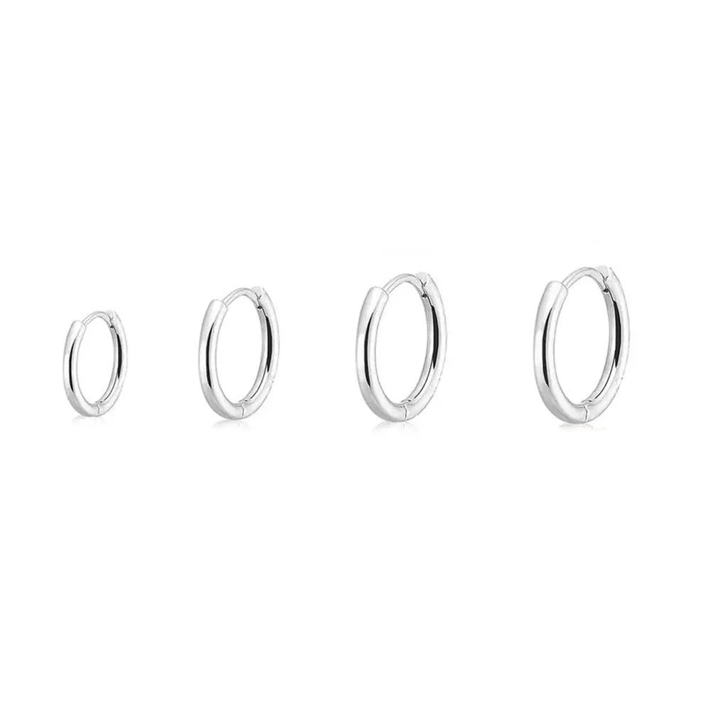 Stainless Hoop Earrings Set