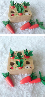 Wooden Carrot Harvest Puzzle Toy