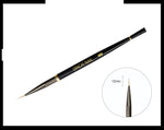 Set di pennelli per nail art, 5 penne di precisione