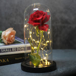 LED-Rose in Glaskuppel, leuchtendes Blumengeschenk