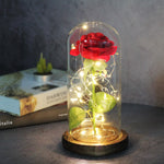 LED-Rose in Glaskuppel, leuchtendes Blumengeschenk