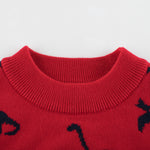 Jungen-Strickpullover