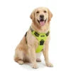 Easy-Walk Reflective Padded Dog Harness