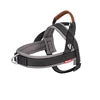Padded No-Pull Dog Harness — Reflective