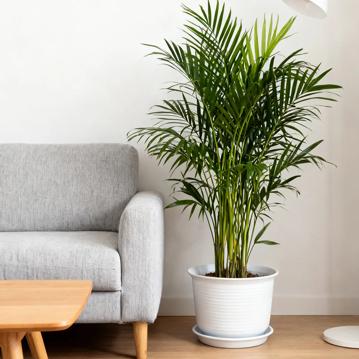Round Resin Flower Pot with Drainage