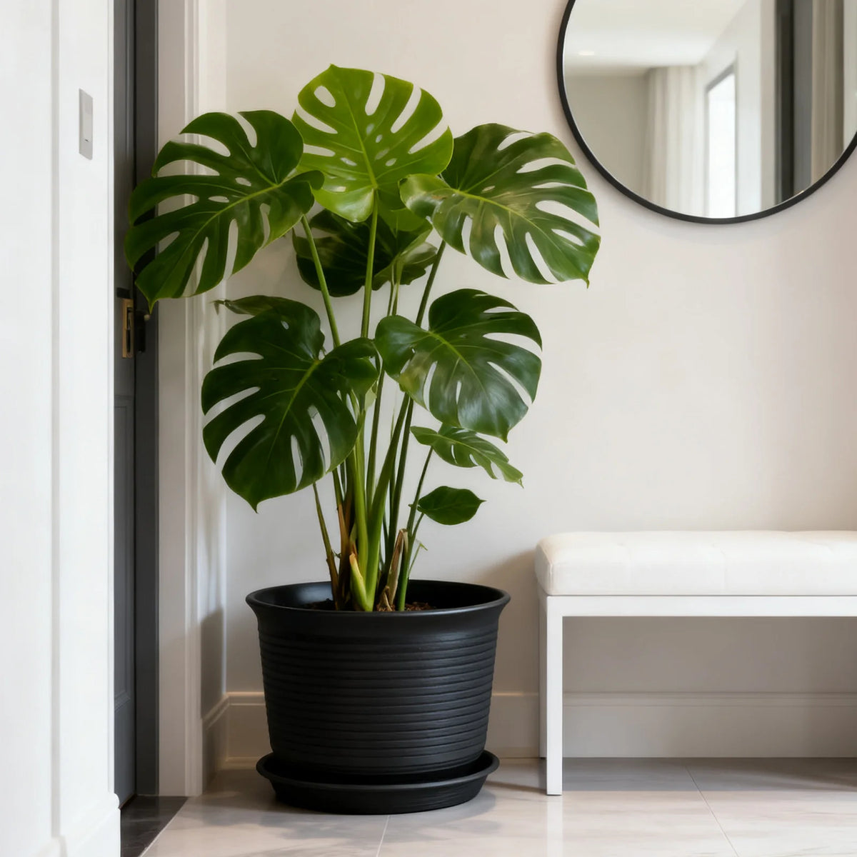 Round Resin Flower Pot with Drainage