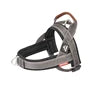 Padded No-Pull Dog Harness — Reflective