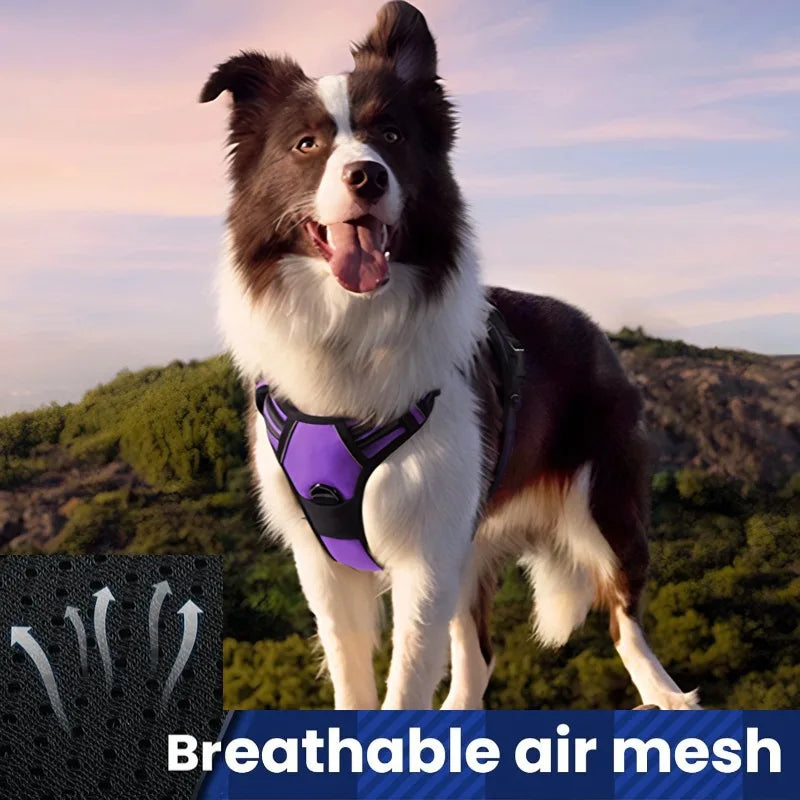 Reflective No-Choke Padded Dog Harness