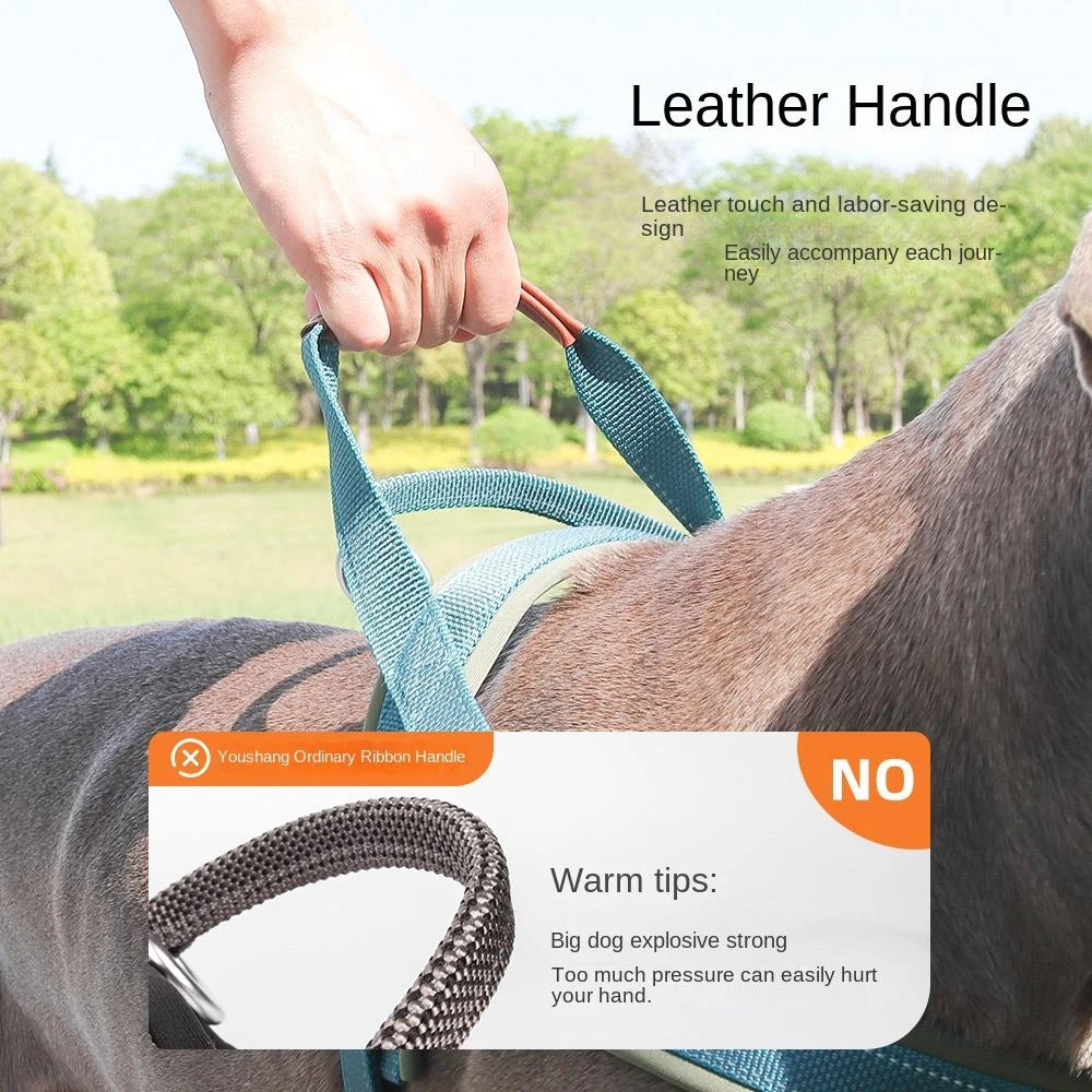 Padded No-Pull Dog Harness — Reflective