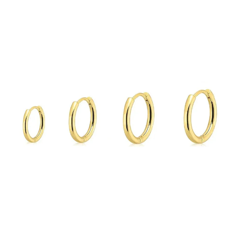 Stainless Hoop Earrings Set