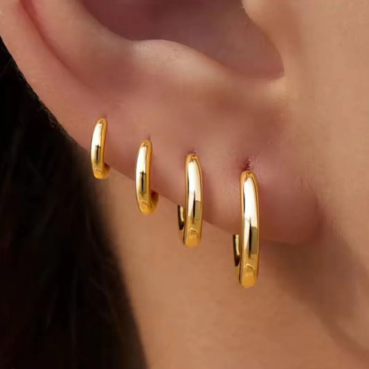 Stainless Hoop Earrings Set