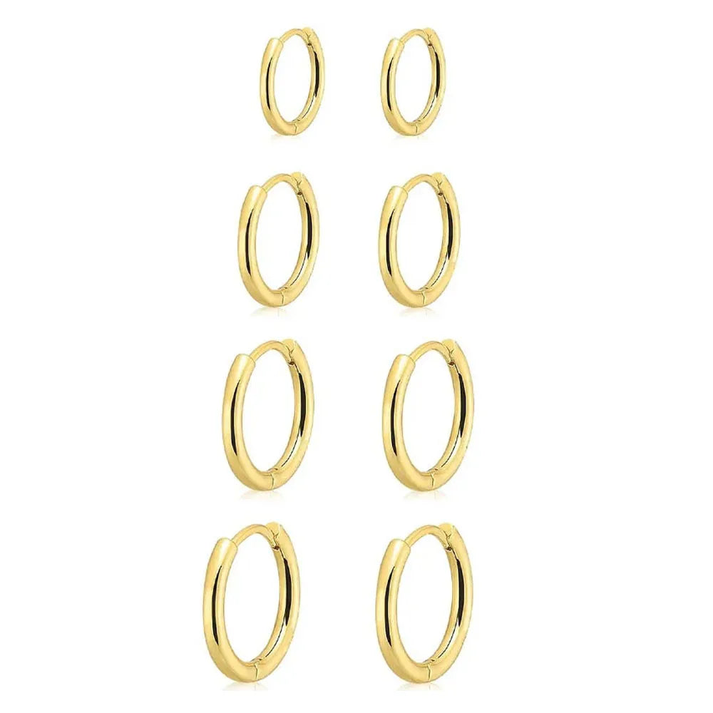 Stainless Hoop Earrings Set