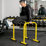 Portable Parallel Bars for Home Gym