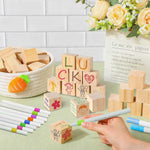 Acrylic Marker Set with 30 Wood Blocks
